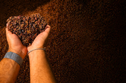 Grappa: Guida completa al distillato Made in Italy